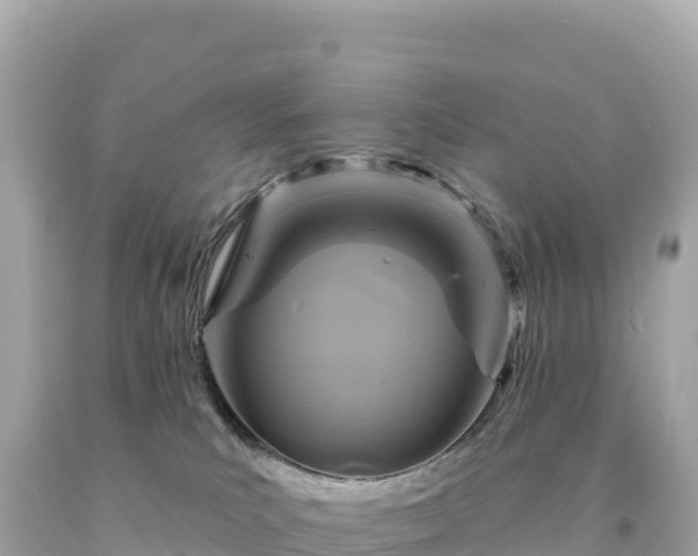 X0000094230039200711021213