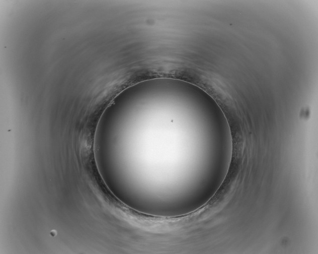 X0000094230040200711021213