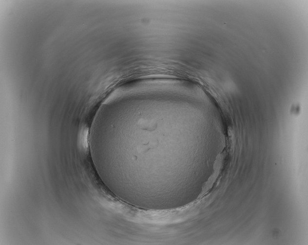 X0000094230041200711021213