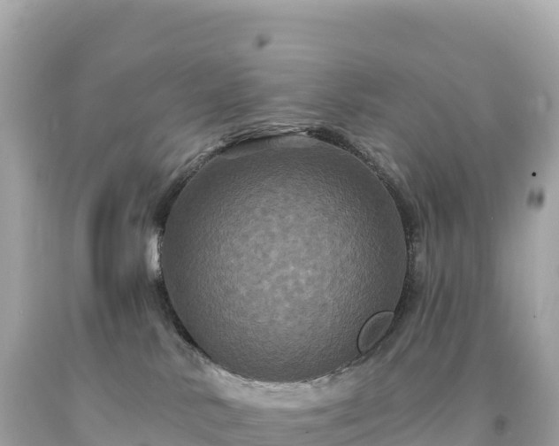 X0000094230042200711021213