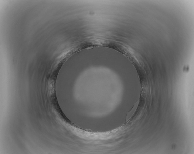 X0000094230043200711021213