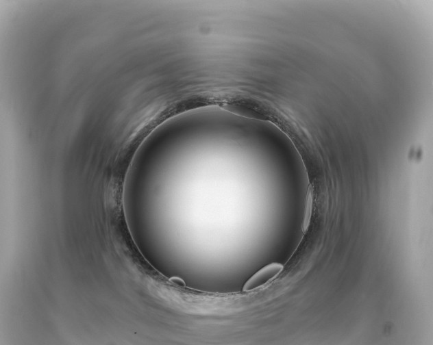 X0000094230044200711021213