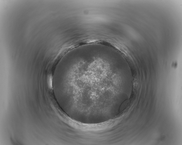 X0000094230046200711021213