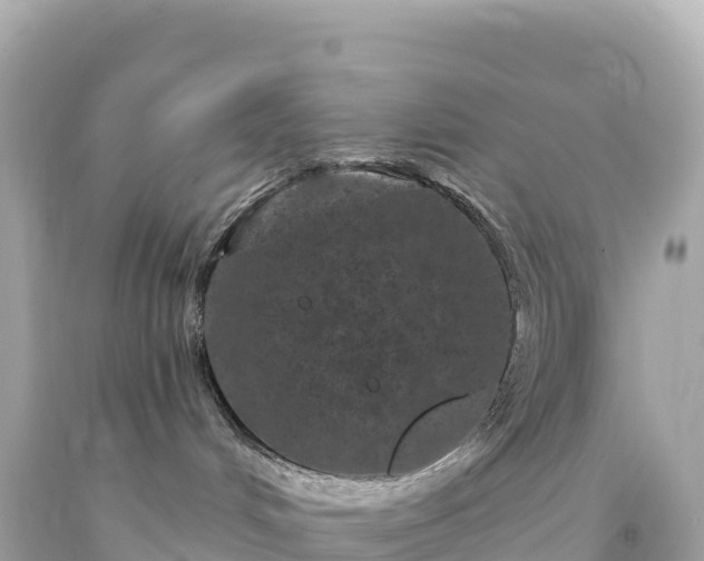 X0000094230048200711021213