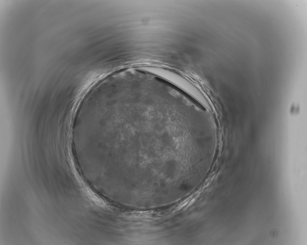 X0000094230049200711021213