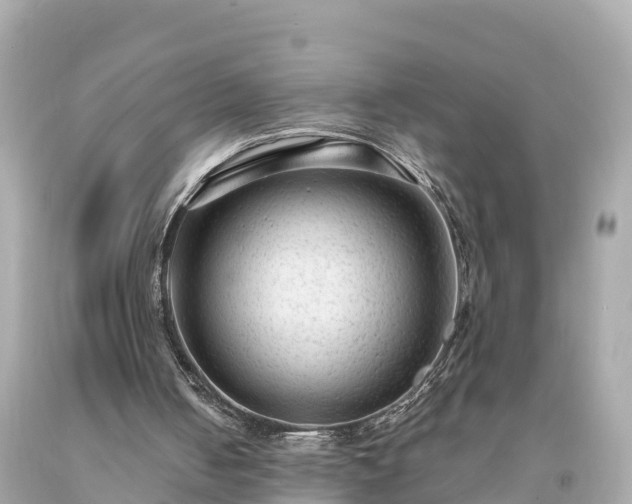 X0000094230050200711021213