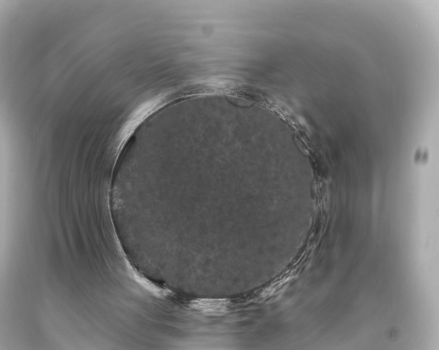 X0000094230051200711021213