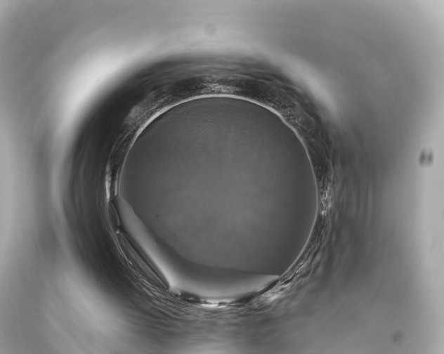 X0000094230052200711021213