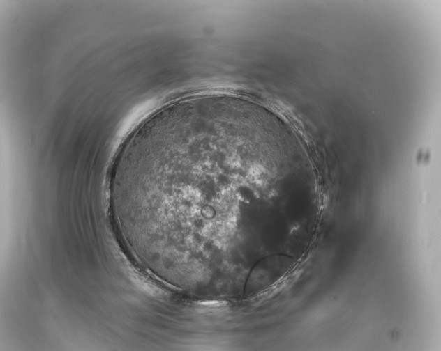 X0000094230053200711021213