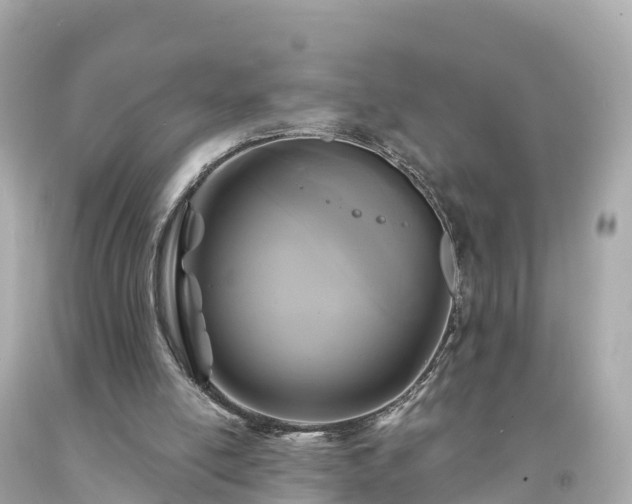 X0000094230054200711021213