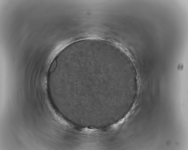 X0000094230055200711021213