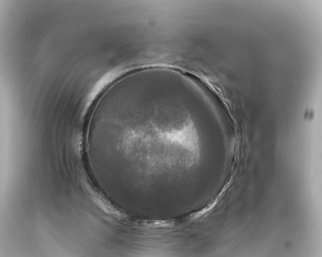 X0000094230056200711021213