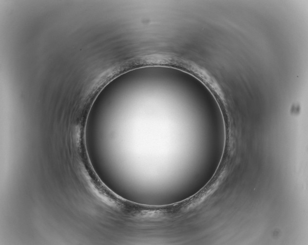 X0000094230057200711021213