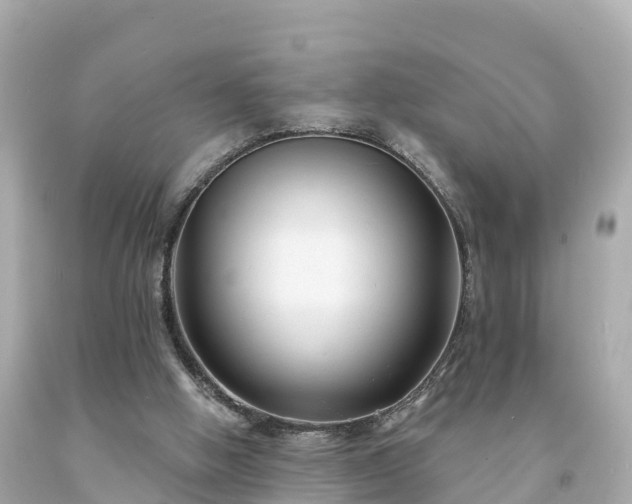 X0000094230058200711021213