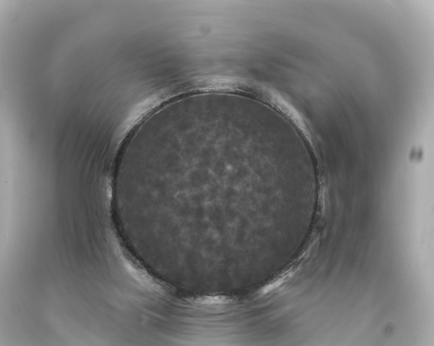 X0000094230059200711021213