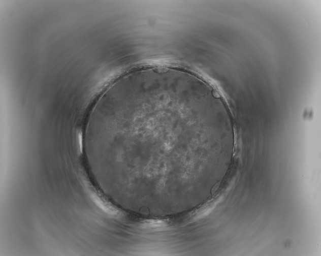 X0000094230061200711021213