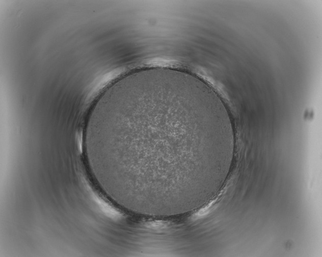 X0000094230062200711021213