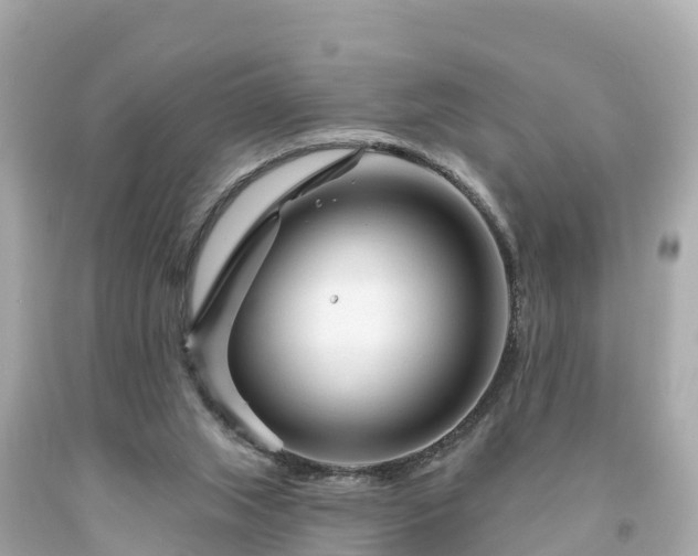 X0000094230063200711021213