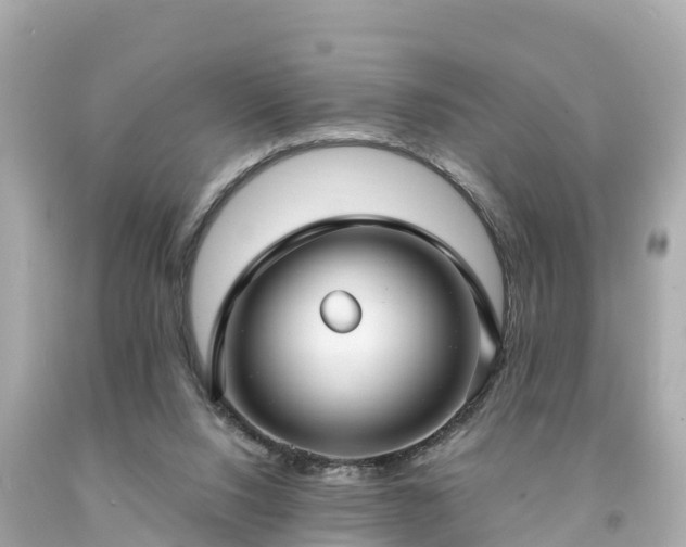 X0000094230064200711021213