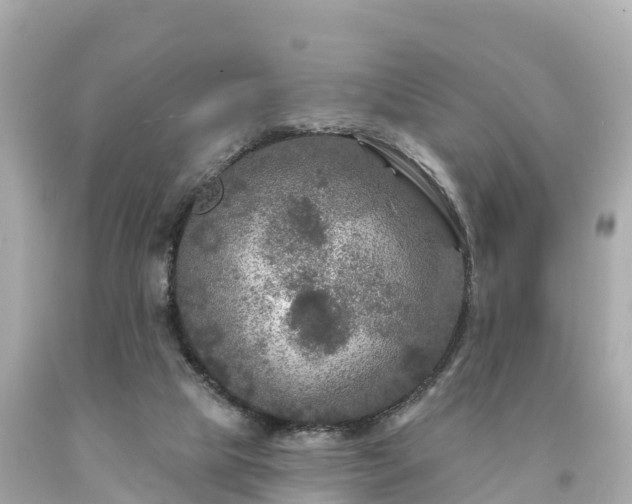 X0000094230065200711021213