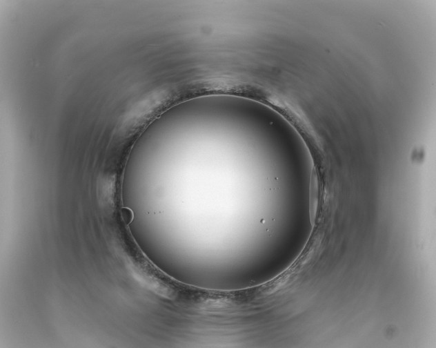 X0000094230066200711021213