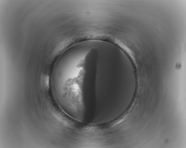 X0000094230067200711021213