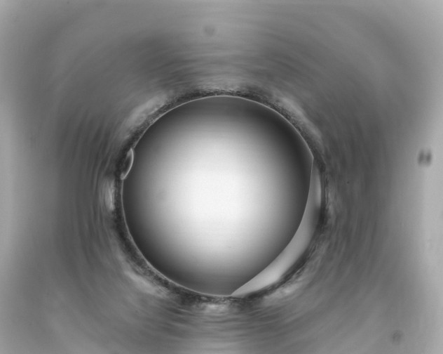 X0000094230068200711021213