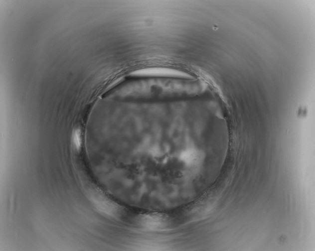 X0000094230069200711021213