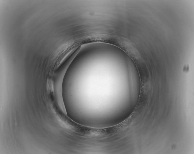 X0000094230070200711021213