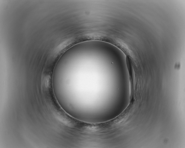 X0000094230071200711021213