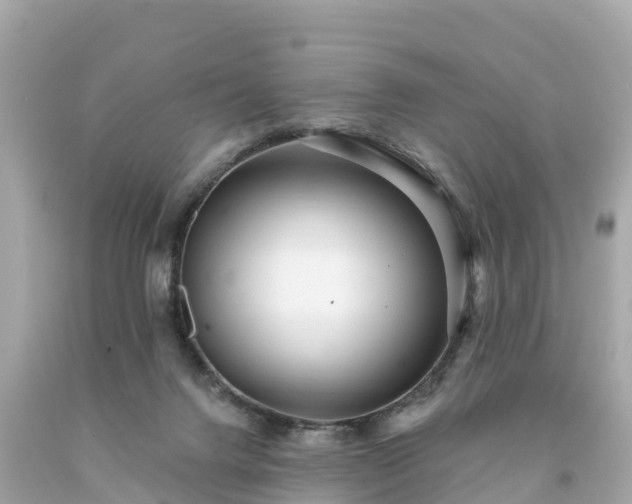 X0000094230072200711021213