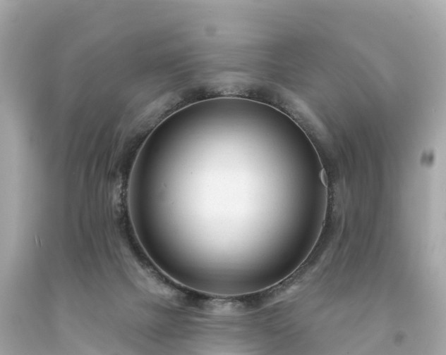 X0000094230073200711021213