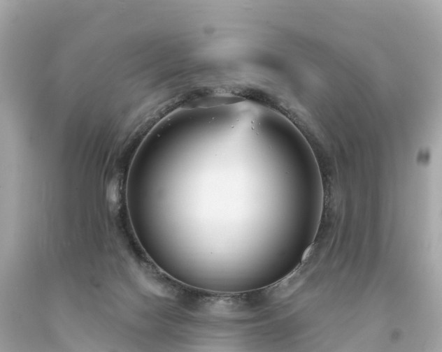 X0000094230074200711021213