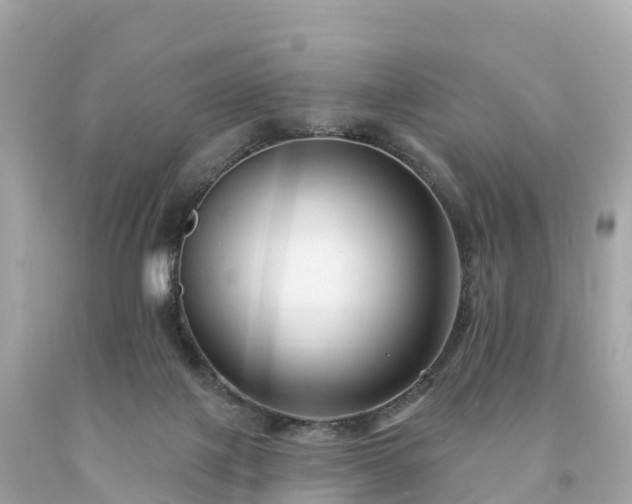 X0000094230075200711021213