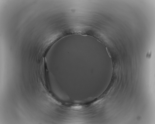 X0000094230076200711021213