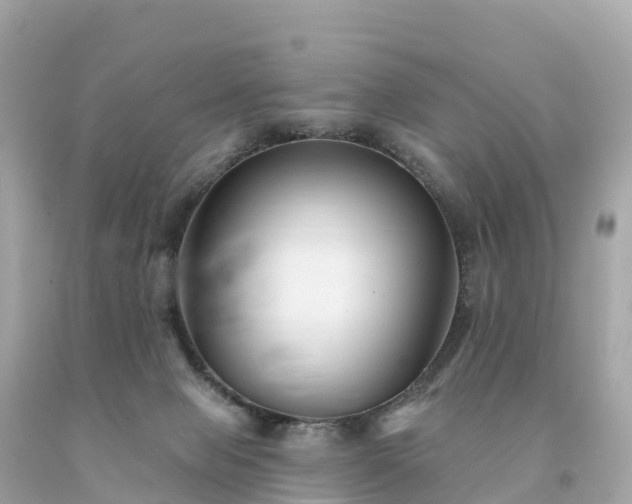 X0000094230077200711021213