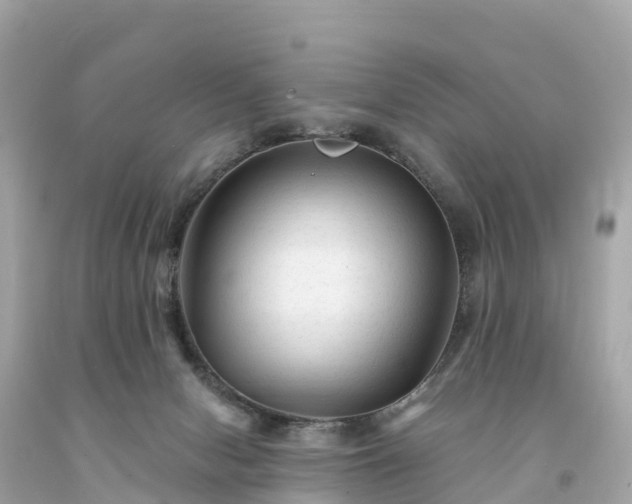 X0000094230078200711021213