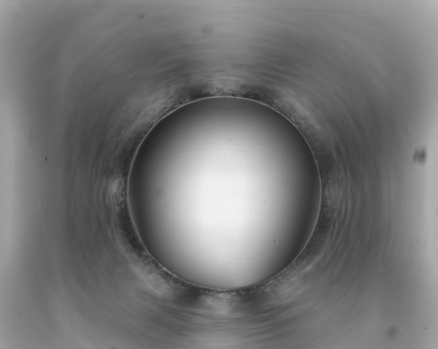 X0000094230079200711021213