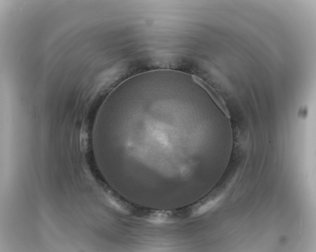 X0000094230080200711021213