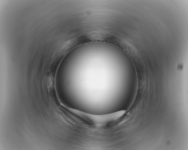 X0000094230081200711021213