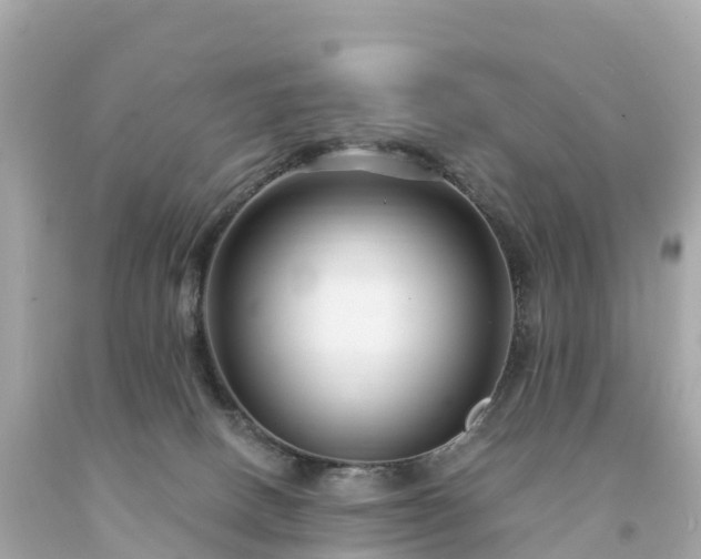 X0000094230082200711021213