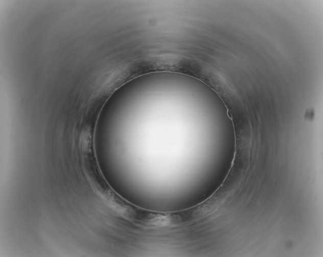 X0000094230083200711021213