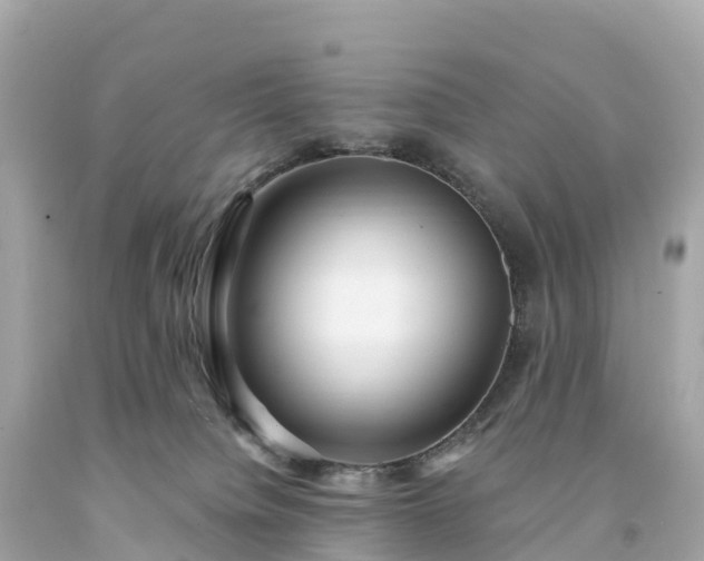 X0000094230084200711021213