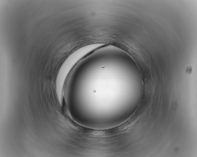 X0000094230085200711021213