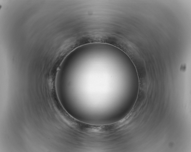 X0000094230086200711021213