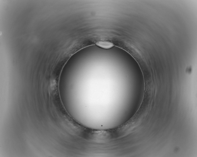 X0000094230087200711021213