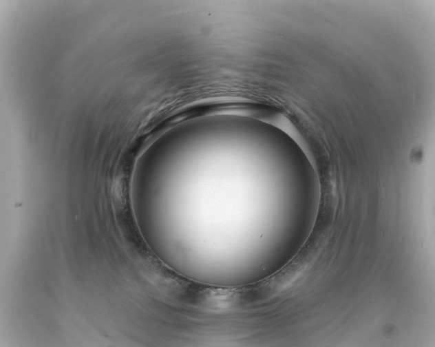 X0000094230088200711021213