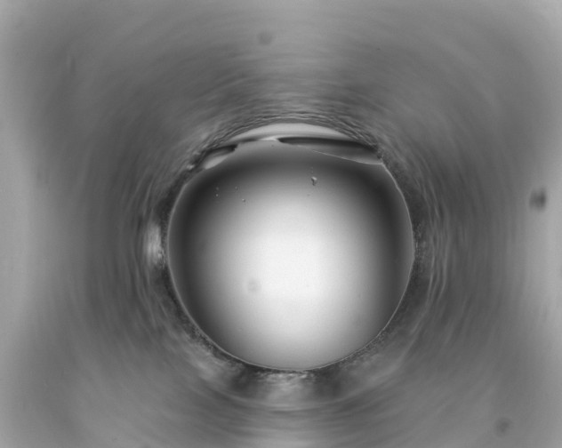 X0000094230089200711021213