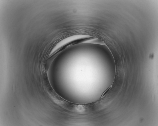 X0000094230091200711021213