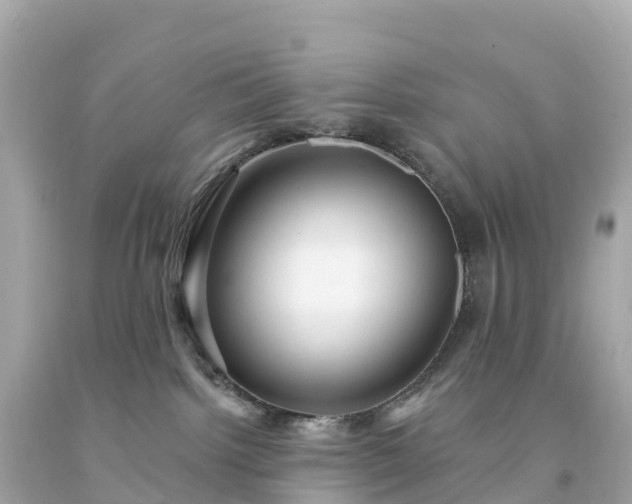 X0000094230092200711021213